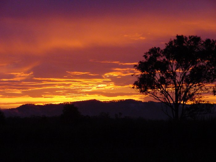 Photo  Jason Rainforest