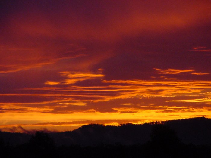 Photo  Jason Rainforest