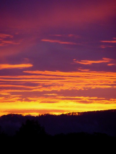 Photo  Jason Rainforest