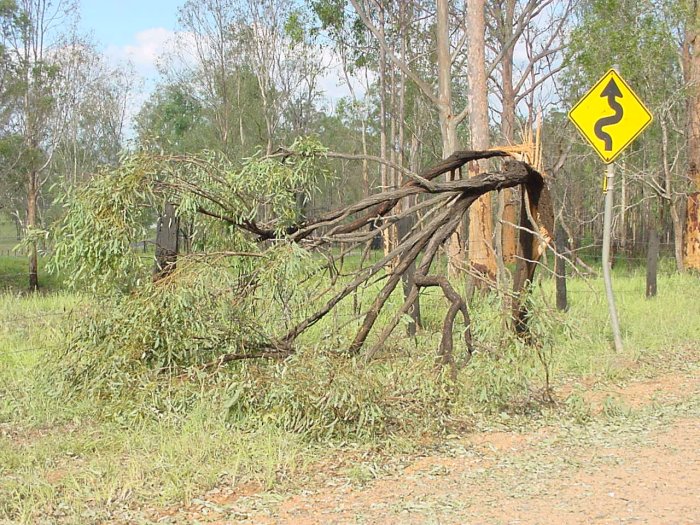 Photo  Jason Rainforest