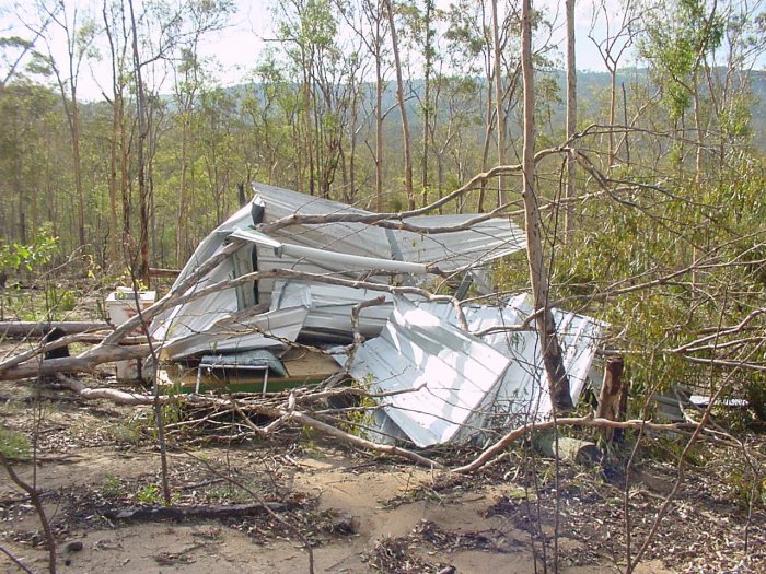 Photo  Jason Rainforest