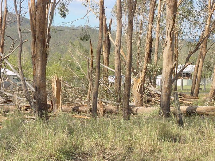 Photo  Jason Rainforest