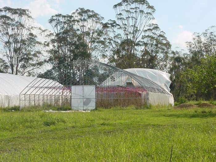 Photo  Jason Rainforest