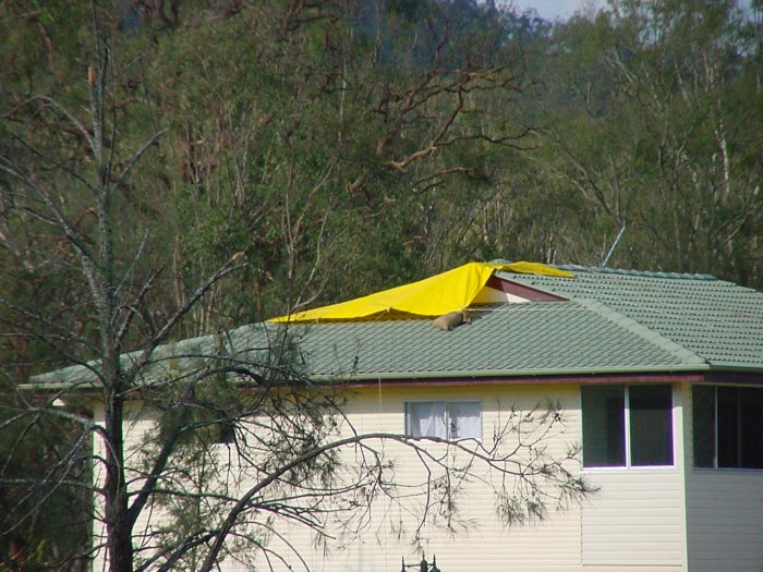 Taken by Jason Rainforest