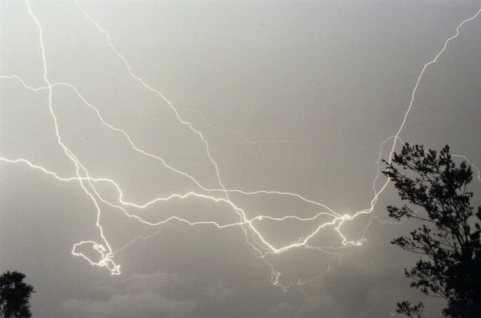 Photo  Jason Rainforest