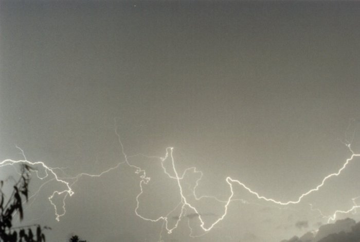 Photo  Jason Rainforest