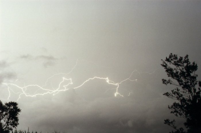 Photo  Jason Rainforest