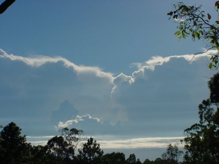 Photo  Jason Rainforest