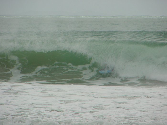 Photo  Jason Rainforest