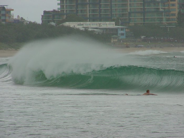 Photo  Jason Rainforest