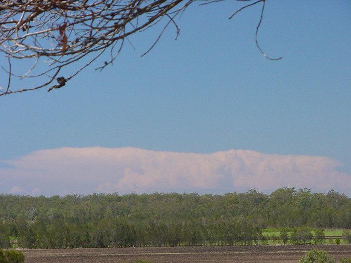 Taken by Jason Rainforest