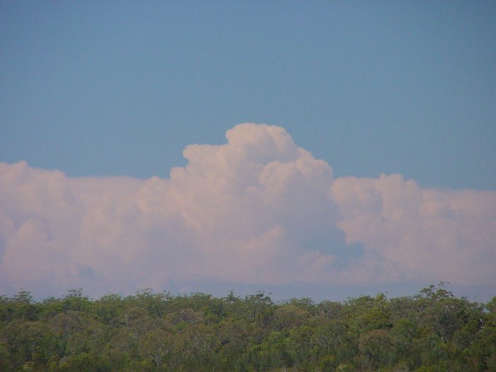 Taken by Jason Rainforest