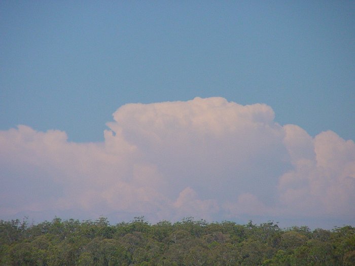 Taken by Jason Rainforest