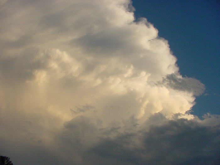 Taken by Jason Rainforest