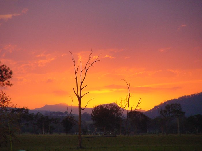 Photo  Jason Rainforest