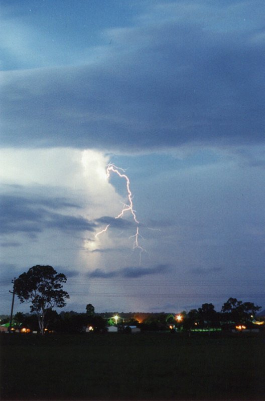 Photo  Jason Rainforest