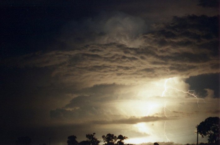 Photo  Jason Rainforest