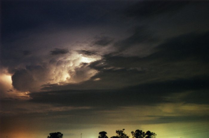 Taken by Jason Rainforest