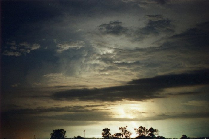 Taken by Jason Rainforest