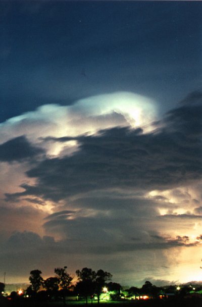 Taken by Jason Rainforest