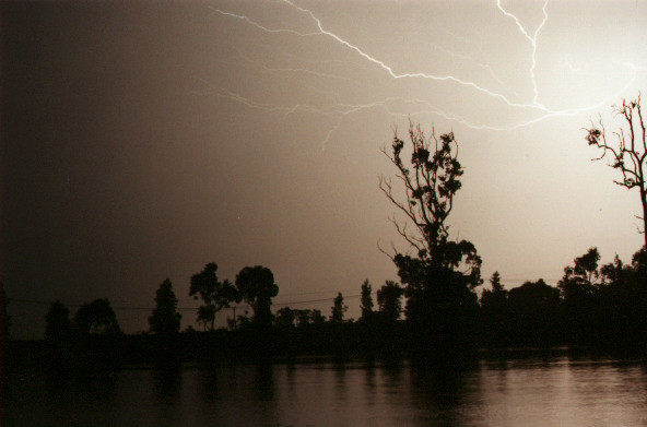 Photo  Jason Rainforest