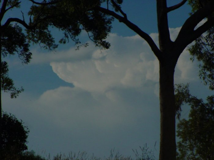 Photo  Jason Rainforest