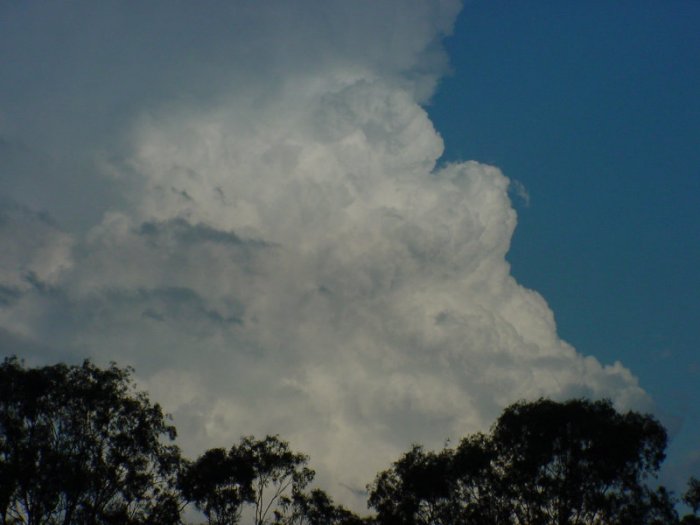 Photo  Jason Rainforest