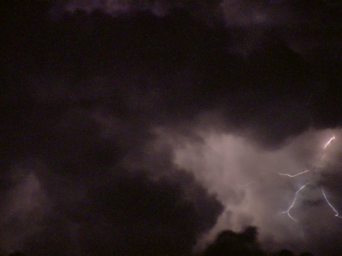 Photo  Jason Rainforest