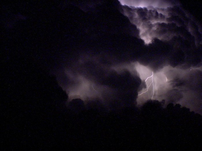 Photo  Jason Rainforest