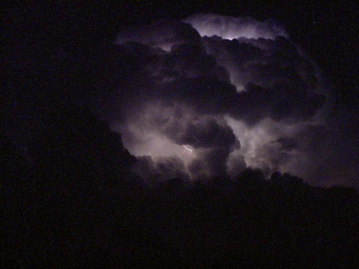 Photo  Jason Rainforest