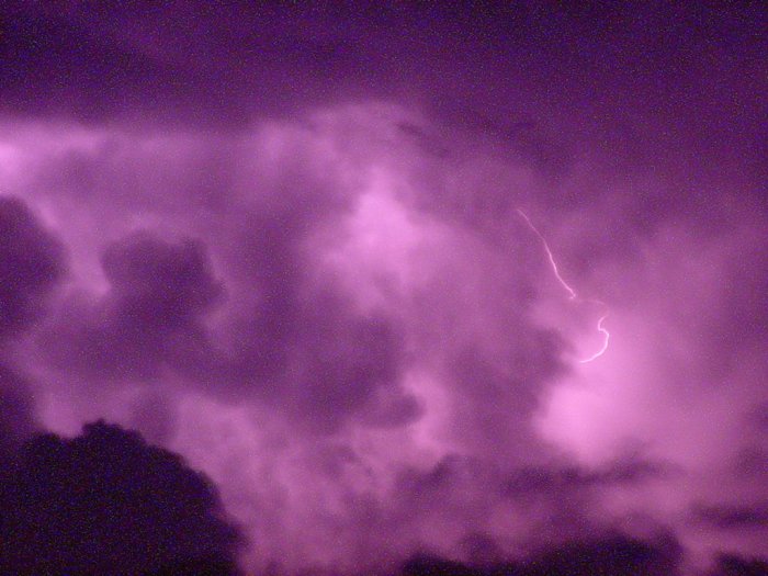 Photo  Jason Rainforest