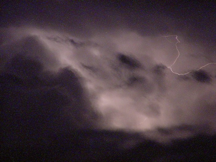 Taken by Jason Rainforest