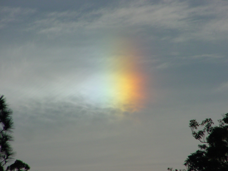 Photo  Jason Rainforest