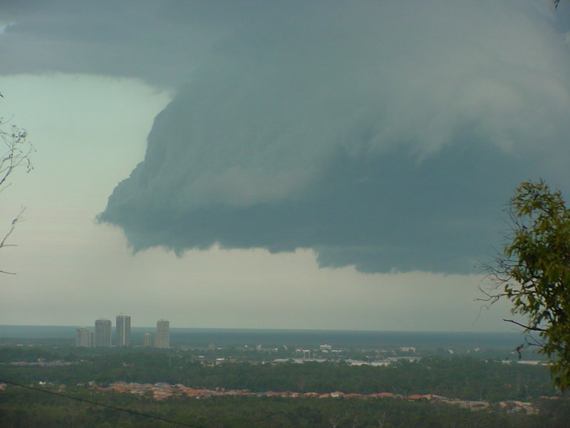 Photo  Jason Rainforest