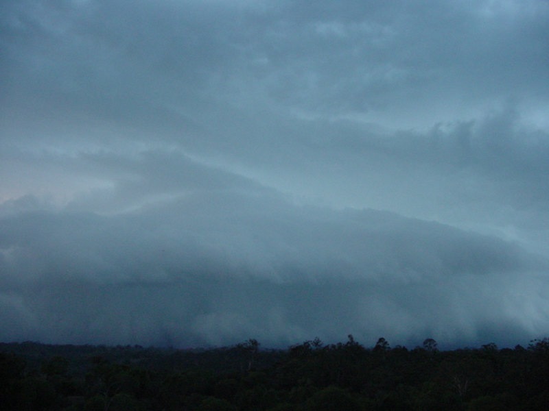 Photo  Jason Rainforest