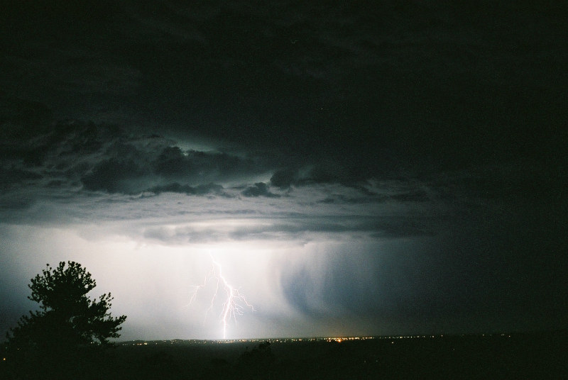 Photo  Jason Rainforest