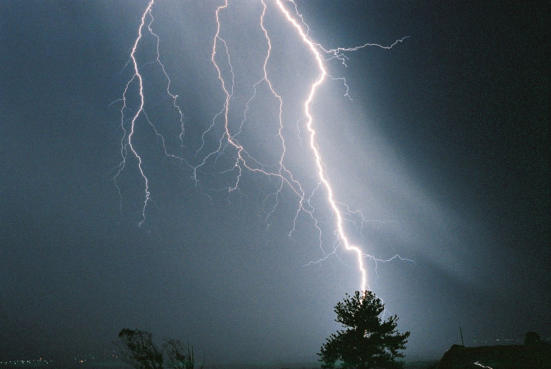 Photo  Jason Rainforest