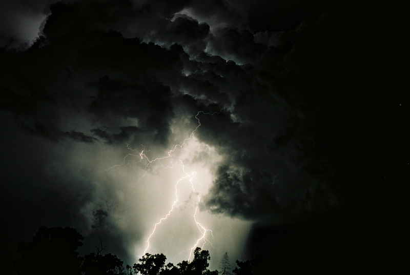 Photo  Jason Rainforest