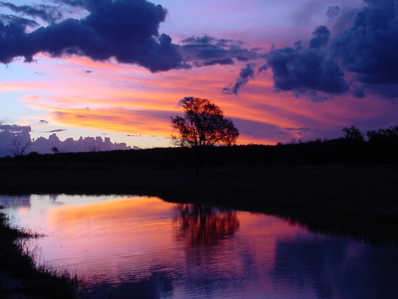 Photo  Jason Rainforest