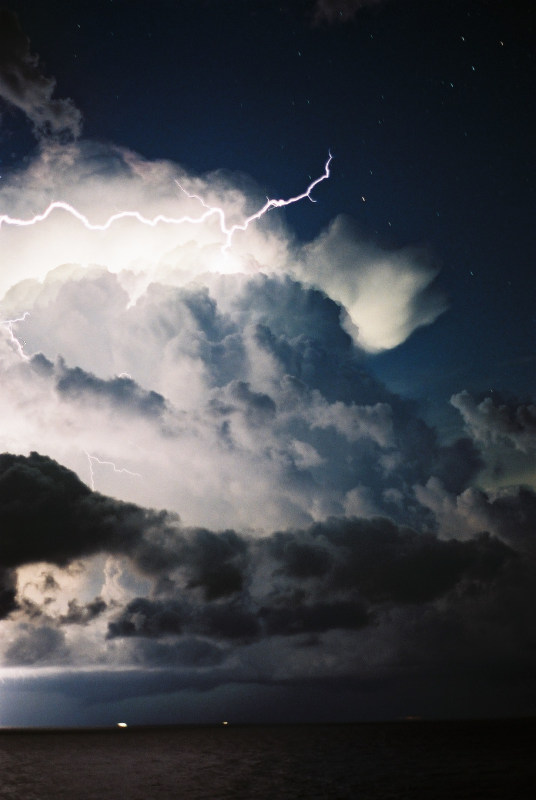 Photo  Jason Rainforest