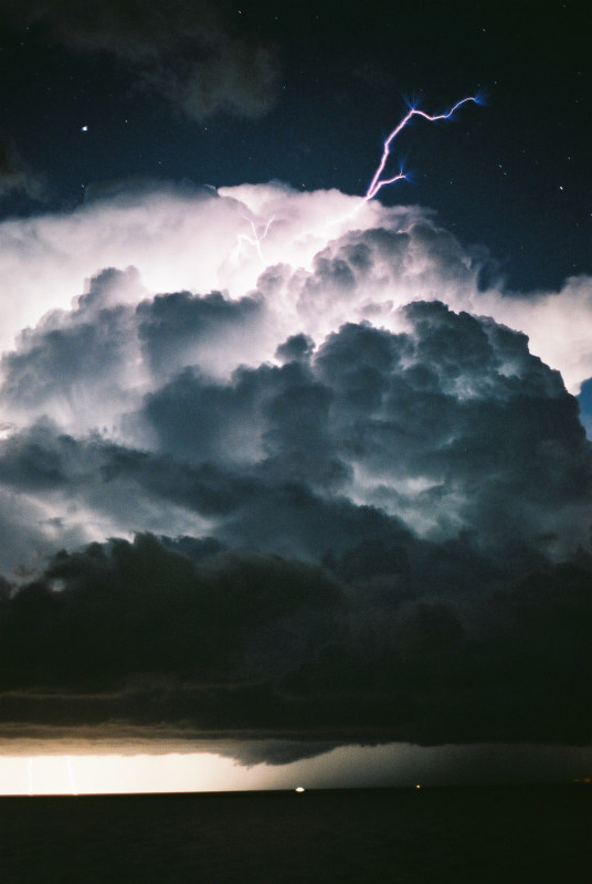 Photo  Jason Rainforest