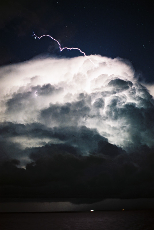 Photo  Jason Rainforest