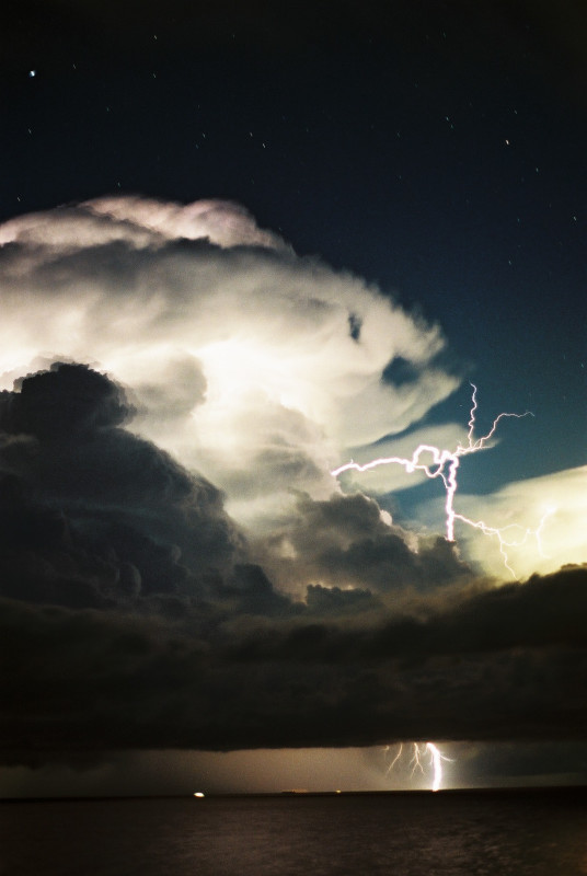 Photo  Jason Rainforest