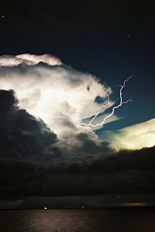 Photo  Jason Rainforest