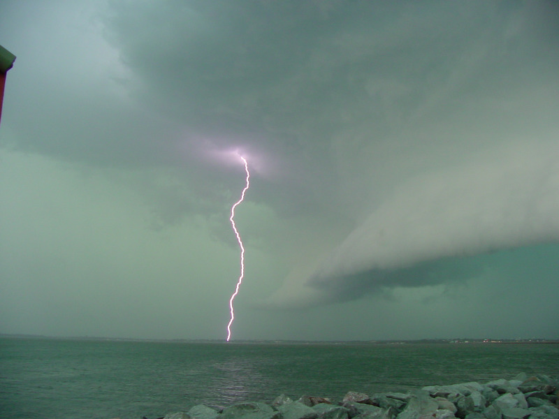 Photo  Jason Rainforest