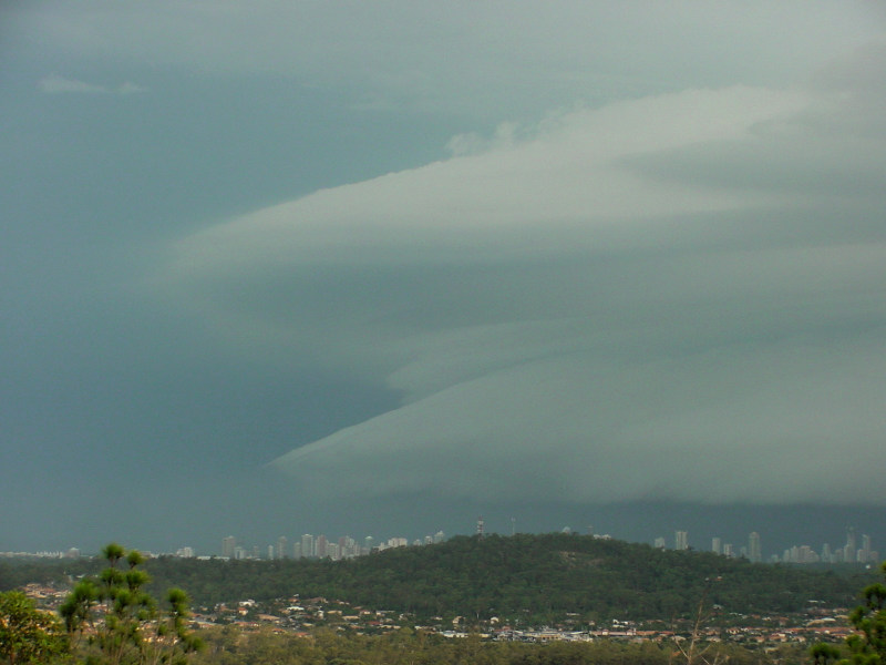 Photo  Jason Rainforest