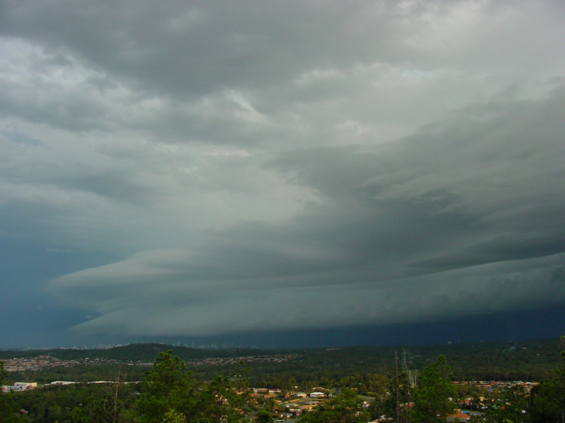 Photo  Jason Rainforest