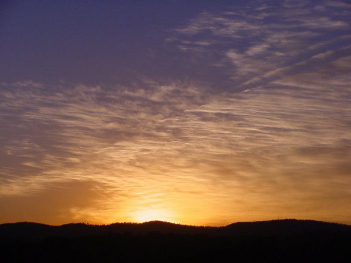 Taken by Jason Rainforest