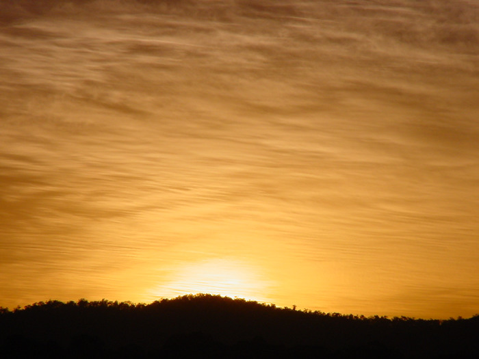 Taken by Jason Rainforest