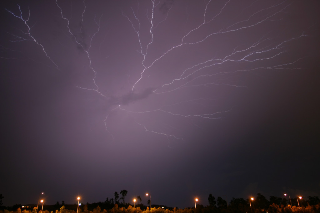 Photo  Jason Rainforest